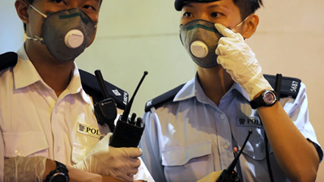Primele cazuri de gripă porcină confirmate în Danemarca şi Hong Kong