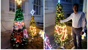 Aradul îşi face vara ... pom de Crăciun. Reacţii după ce doi brazi împodobiţi au fost aduşi în faţa Primăriei: „Cumpăram dozatoare de bere”