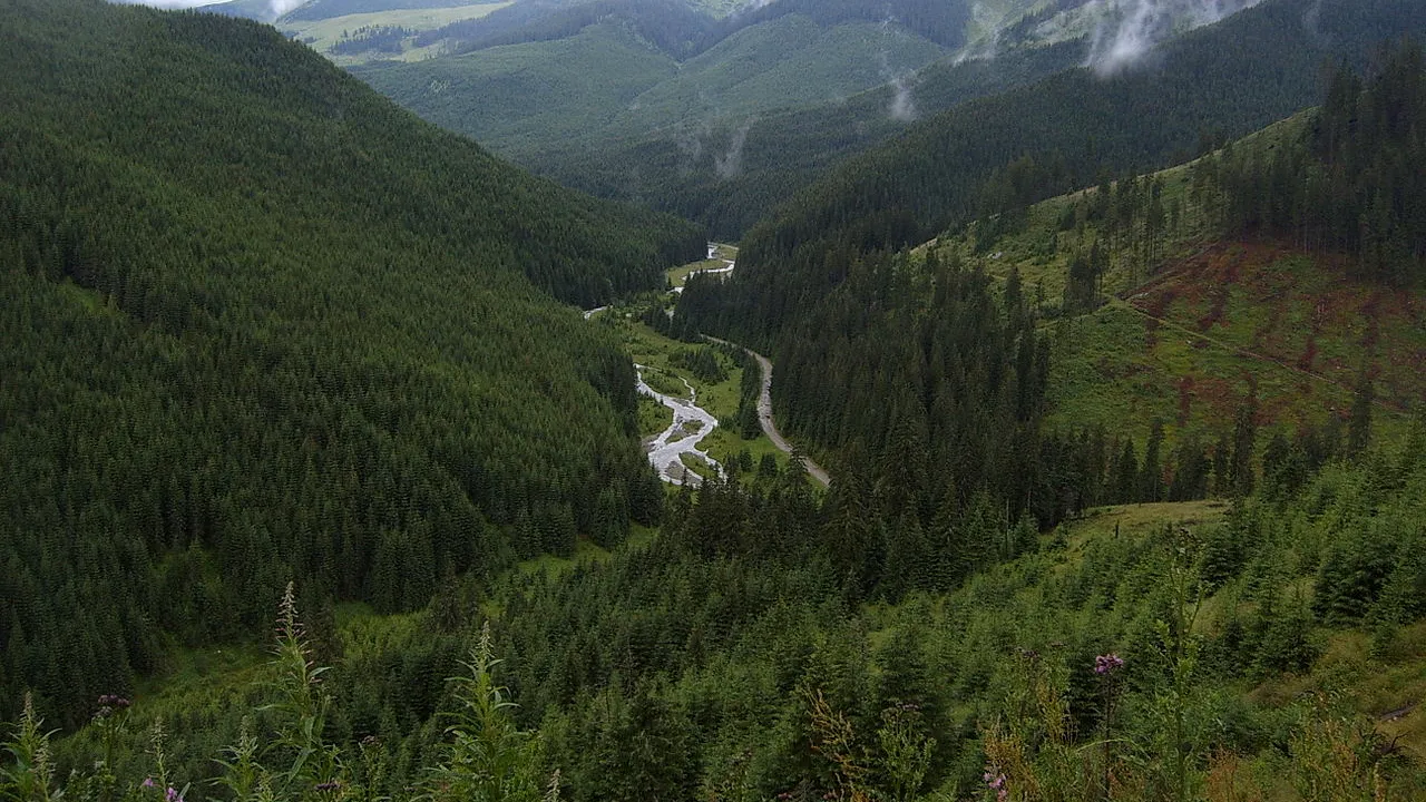 Alertă în Maramureş: Doi turişti polonezi sunt rătăciţi de marţi în zona Prislop/ Salvamontiştii au început operaţiunea de căutare