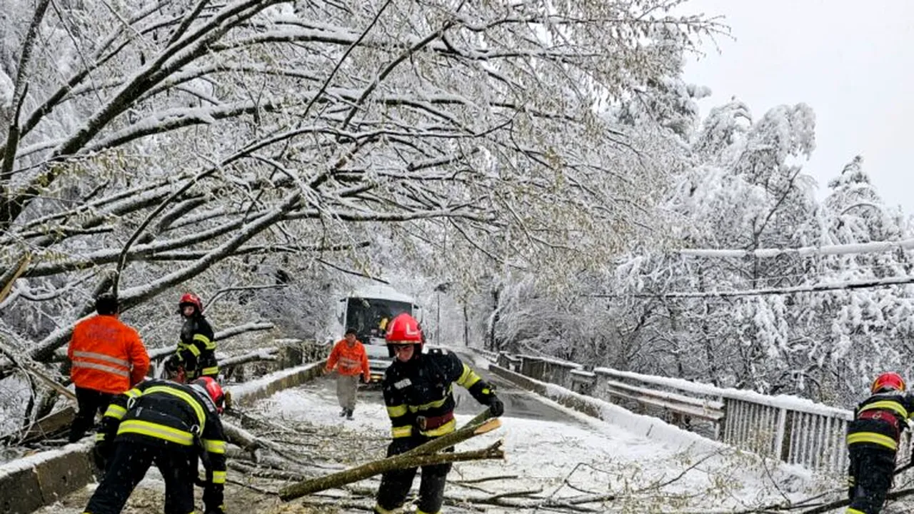 Din cauza ninsorii, un copac a căzut pe un microbuz. Şoferul şi pasagerii au reuşit să se salveze