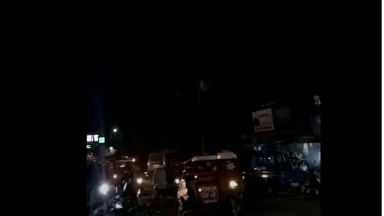 Un şarpe imens, încolăcit pe un cablu de electricitate, a creat panică într-un oraş. Video viral 