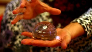 Vrăjitoarele nu au indus clienţii în eroare pentru că ei ştiau serviciile oferite şi că se cer bani