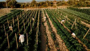 Turcia a reuşit să facă un pas important în gastronomia sustenabilă. În 2025 va avea 10 restaurante premiate cu MICHELIN Green Star