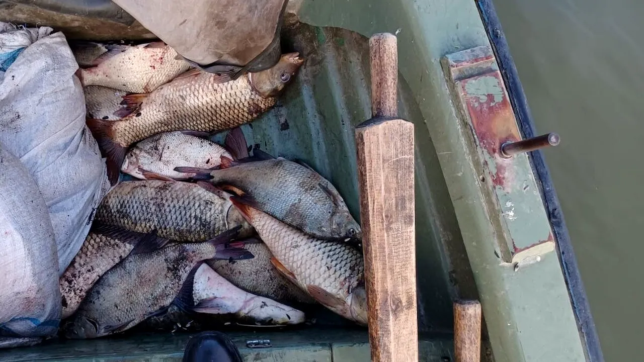 132 kilograme de peşte, braconate în Delta Dunării