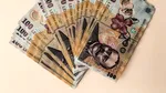 Fidelis VIII: românii au investit masiv în titlurile de stat