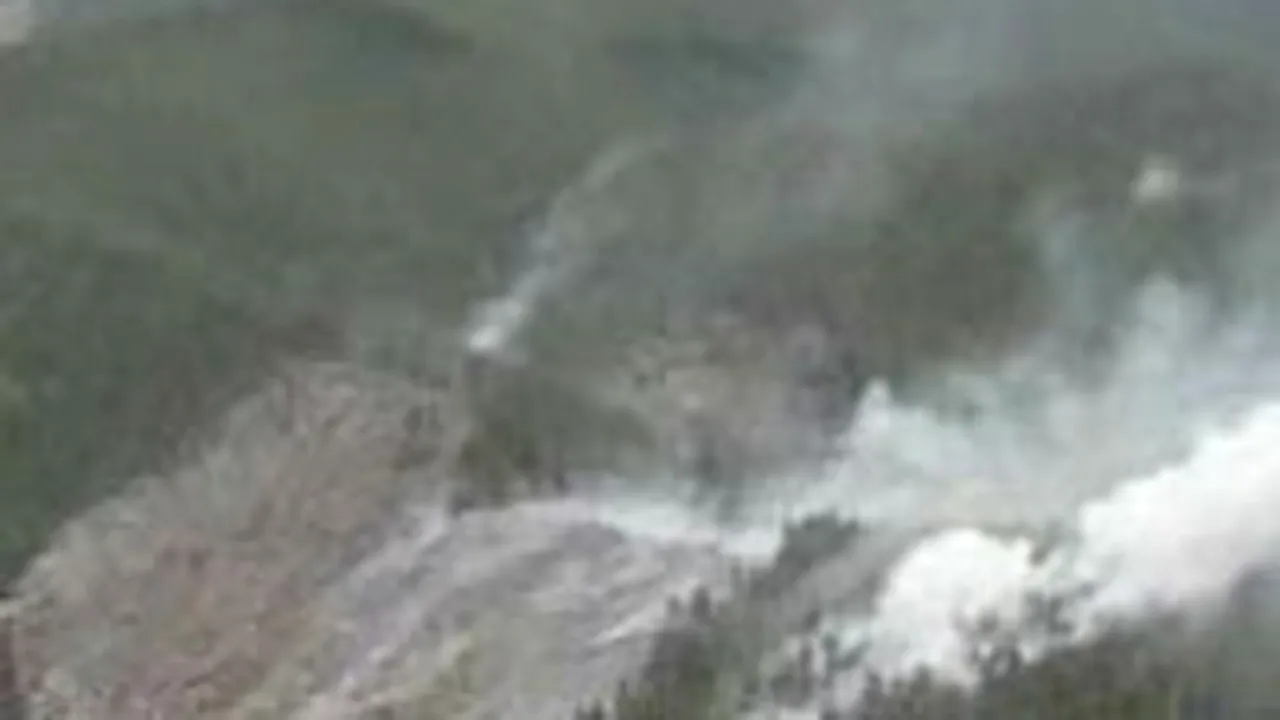 Peste şapte hectare de pădure, mistuite de flăcări