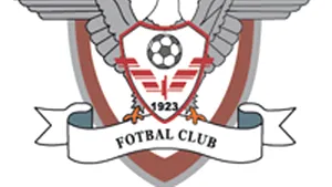 FC Rapid face precizări referitoare la situaţia transferurilor lui Varga şi Bălan