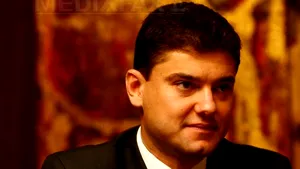 Boureanu: Un membru aruncă o piatră, tot partidul s-a scufundat s-o caute şi acum suntem toţi plini de rahat