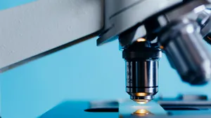 Un cercetător român de la Stanford, în spatele unui experiment fără precedent: țesut cerebral uman, transplantat în șoareci