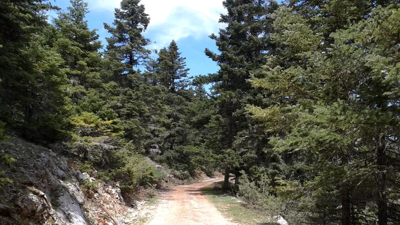 Aventura unor turiști români în drum spre vacanța din Grecia: Ne-am trezit „în” nicăieri, am crezut că murim