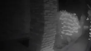 „Răpire extraterestră”, surprinsă de o cameră de supraveghere | VIDEO
