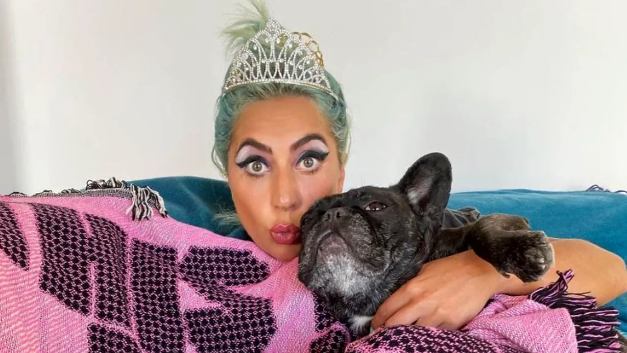 Câinii lui Lady Gaga au fost furaţi, după ce un bărbat l-a împuşcat pe cel care i-a scos la plimbare