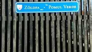 Plăcuţele cu nume de străzi din Miercurea Ciuc vor fi schimbate. Limba română deasupra celei maghiare, după decizia Curţii de Apel Bucureşti 