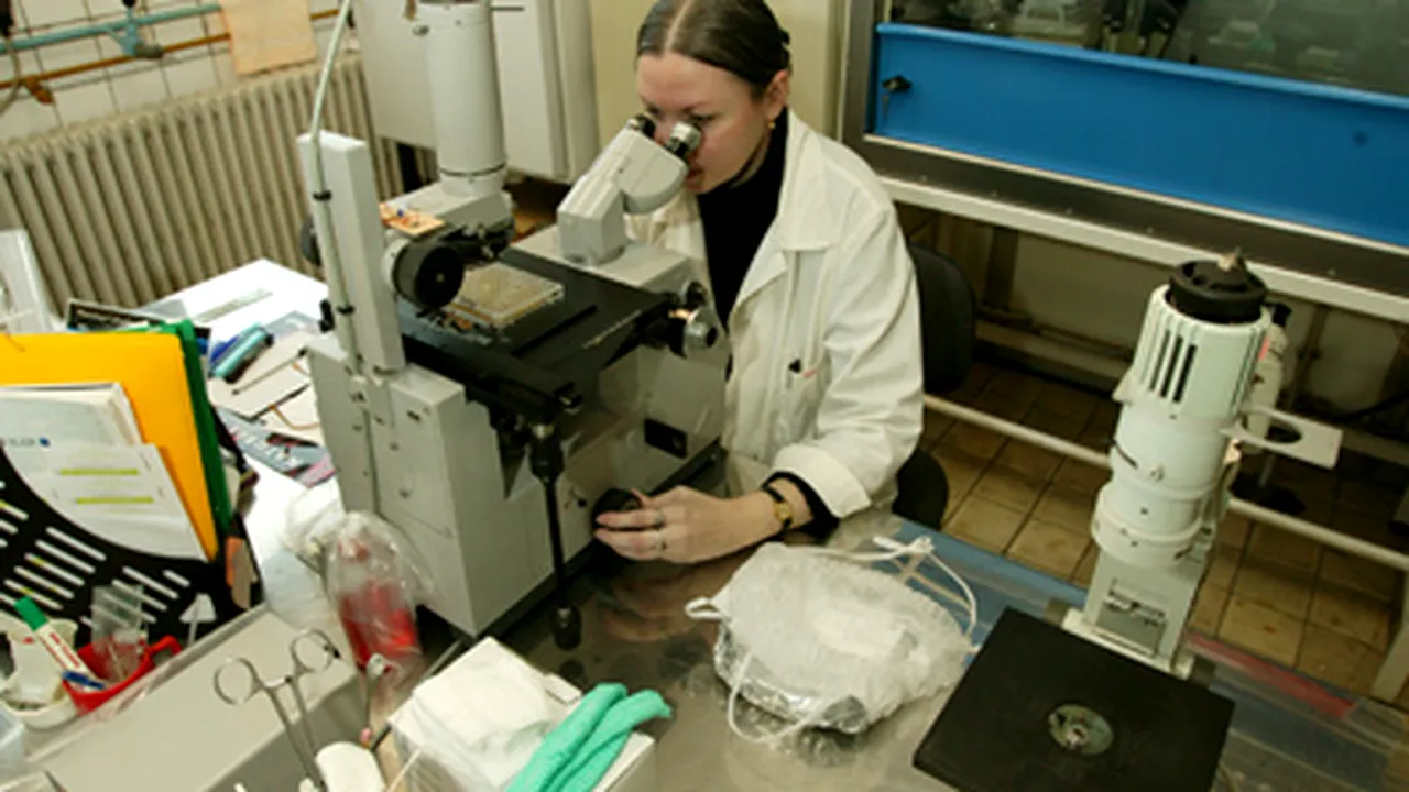 Virusul H1N1 atacă celulele pulmonare de profunzime