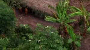 Un trib izolat din Amazonia a fost filmat pentru prima oară