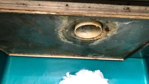 Peşte expirat din 30 iunie, mizerie şi miros de nedescris la doi furnizori de peşte de pe litoral  