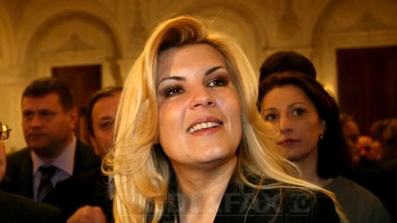 Udrea: Nu există scindare în PDL, disputa dintre mine şi Blaga este aiuritoare