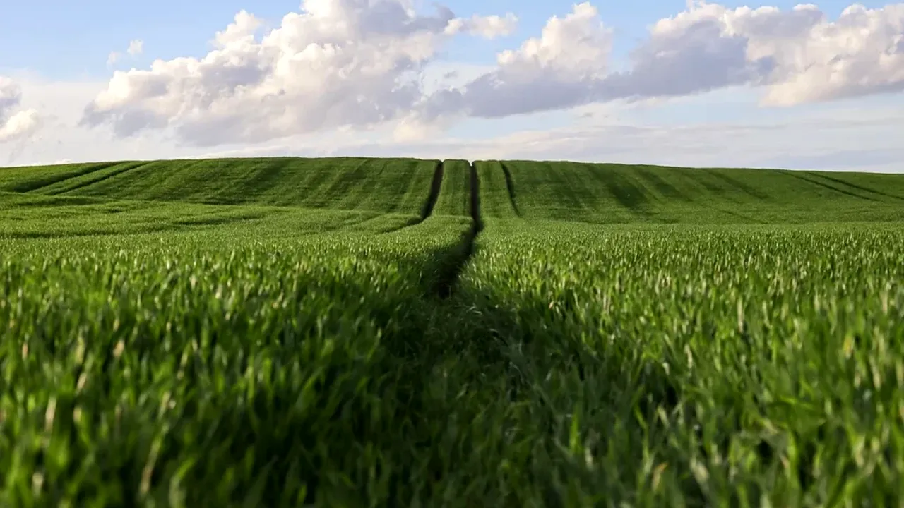 Romania has better land than France