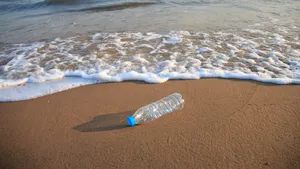 Bune practici privind reciclarea sau cum poţi trece mai uşor peste pandemie: primeşti orez în schimbul deşeurilor din plastic