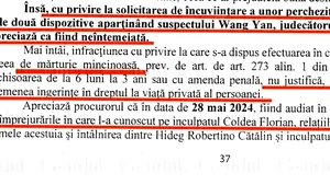 Gândul: Cum a blocat judecătoarea Raluca Moroșanu percheziția informatică în dosarul Coldea 2