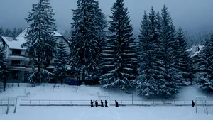 Romanian Businessman Copos To Invest EUR10M In 100-Room Hotel In Poiana Brasov