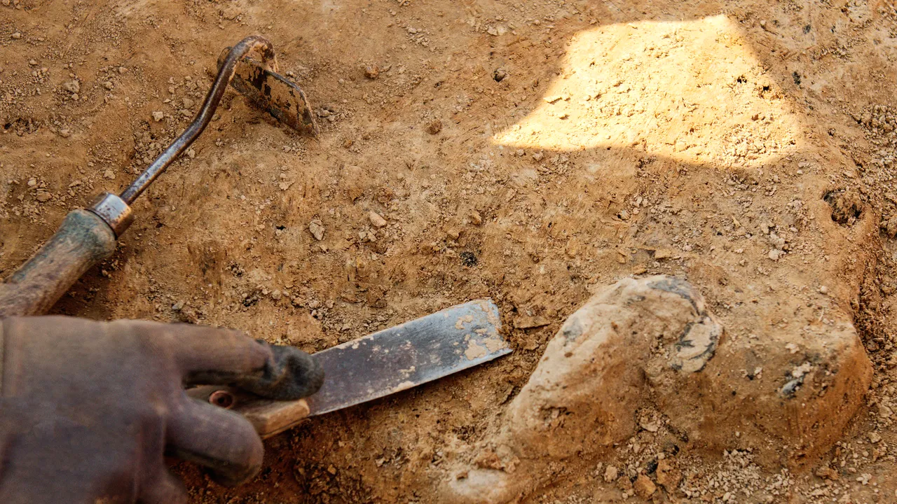 Un fragment de schelet de Homo sapiens descoperit în Israel rescrie istoria evoluţiei | FOTO, VIDEO