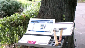 Orice lemn îşi are viermele său. Copacii din Bucureşti vor fi consultaţi cu tomograful