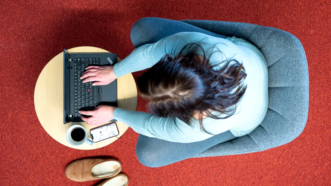 Angajaţi EY din SUA, concediaţi după ce au participat la mai multe cursuri online în acelaşi timp