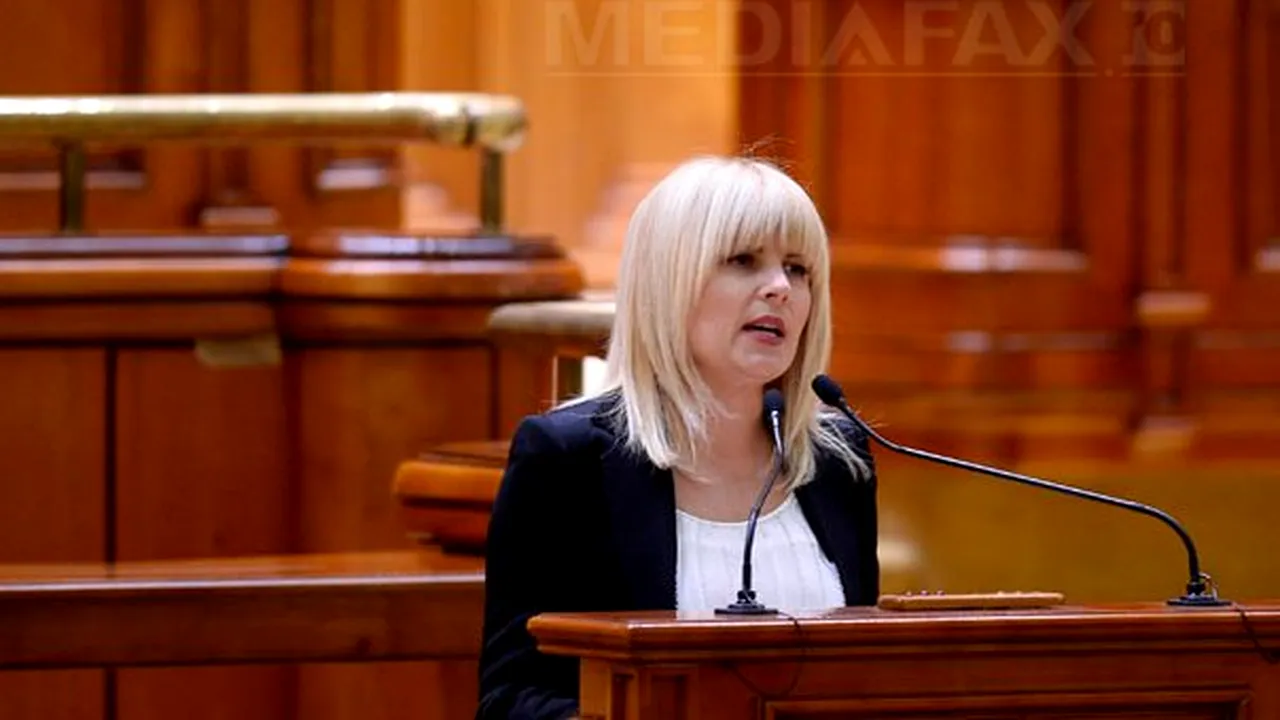 Elena Udrea a venit la Parlament să îşi vadă dosarul: Din comunicatul DNA nu am înţeles despre ce e vorba