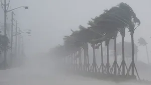 Patru cetăţeni români au fost evacuaţi din calea uraganului Irma, în urma demersurilor MAE. Unde se aflau aceştia şi ce solicitări au avut