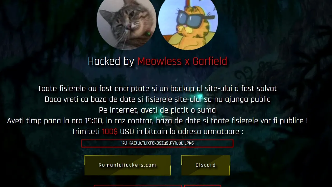 Site-ul Consiliului Judeţean Cluj, victima unui atac cibernetic. Ce recompensa cer hackerii Meowless şi Garfield