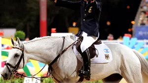 Cum comunică omul şi calul în tipul exerciţiilor de echitaţie