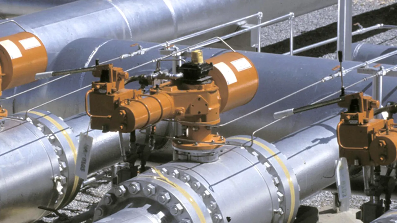 Rusia şi Austria au semnat un acord pentru construirea gazoductului South Stream
