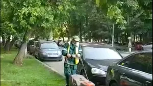 Primarul unui sector din Capitală: Gazonul însămânţat, de cinci ori mai ieftin decât cel tip rulou