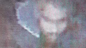 Arestat, cu ajutorul martorilor. Agresorul celor două femei din Bucureşti a fost prins