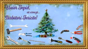 Unior Tepid: Performante remarcabile în anul 2025, mulțumiri partenerilor și echipei!