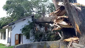 Spaţiul unui cunoscut festival de film, distrus de o furtună: Organizatorii au anulat ediţia din acest an | FOTO