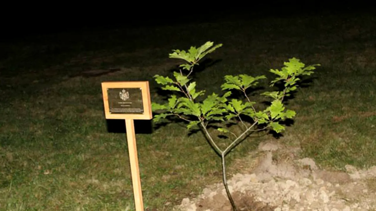 Principesa Margareta şi ambasadorul Martin Harris au plantat un stejar în onoarea prinţului George - FOTO