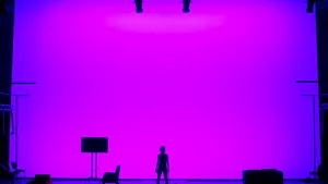 Artiştii primesc sprijin din partea autorităţilor. Actor: „Nu acoperă nici măcar jumatate din cheltuieli”