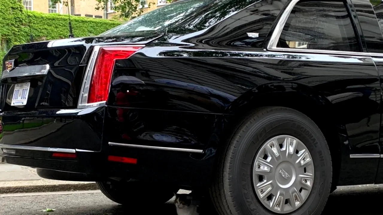 „Bestia” de la Casa Albă, îmblânzită de motanul Larry. „Uriaşa” problemă de securitate care a perturbat programul vizitei lui Trump la Londra | VIDEO 