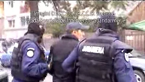 Încă o reţea de traficanţi de droguri, desfiinţată de DIICOT