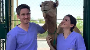 VIDEO | Cum arată spitalul de lux pentru cămile, în valoare de 10 milioane de dolari