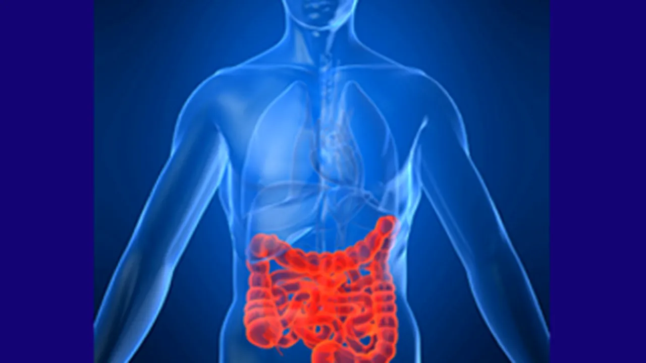 Ponturi de viaţă lungă: rolul surprinzător al hormonilor intestinali