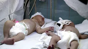 ANT a transmis Ministerului Sănătăţii punctul de vedere privind ordinul care oprea fertilizarea