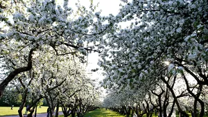 Prognoza meteo pentru perioada 2-15 martie: Vreme deosebit caldă în primele zile