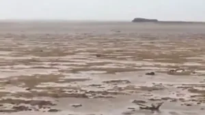 A dispărut oceanul. Fenomenul produs de forţa uraganului Irma, în Bahamas. Explicaţiile specialiştilor | VIDEO