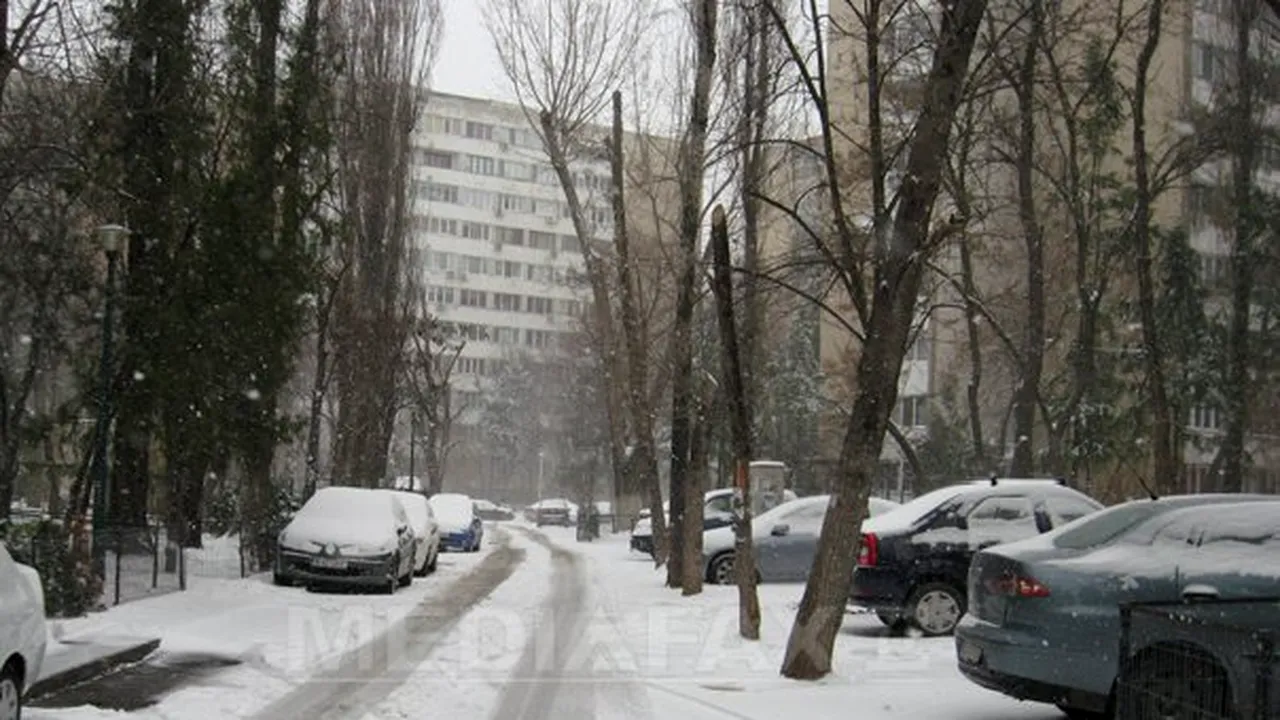 Un primar a inventat parazăpezi din crengi şi arbuşti pentru a evita blocarea drumurilor