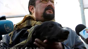 Actorul Steven Seagal a adoptat la distanţă un câine comunitar de la un adăpost din România