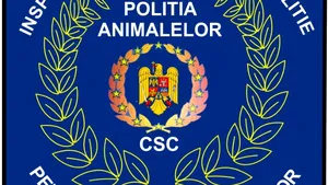 Anchetă la Dolj, după ce un câine a fost aruncat în fântână