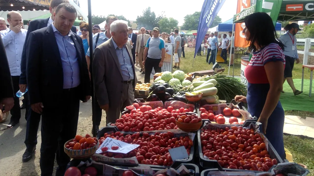 Petre Daea: Întreb de preţul roşiilor. Am un respect deosebit pentru buzunarul consumatorului | FOTO